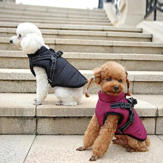 Dog Coat with Insulation and Built-In Harness