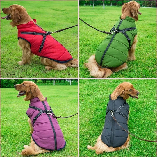 Dog Coat with Insulation and Built-In Harness