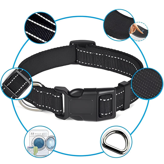 Dog Collar with Adjustable Fit and Clip Buckle