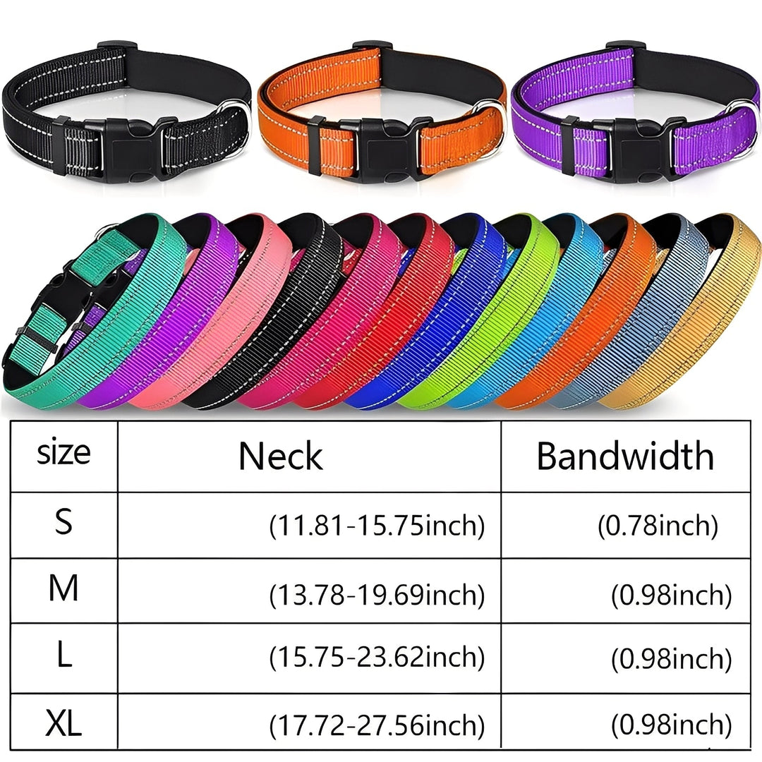Dog Collar with Adjustable Fit and Clip Buckle