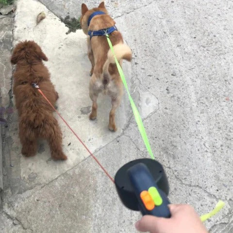 Dog Leash with Tangle-Free Design and LED Light