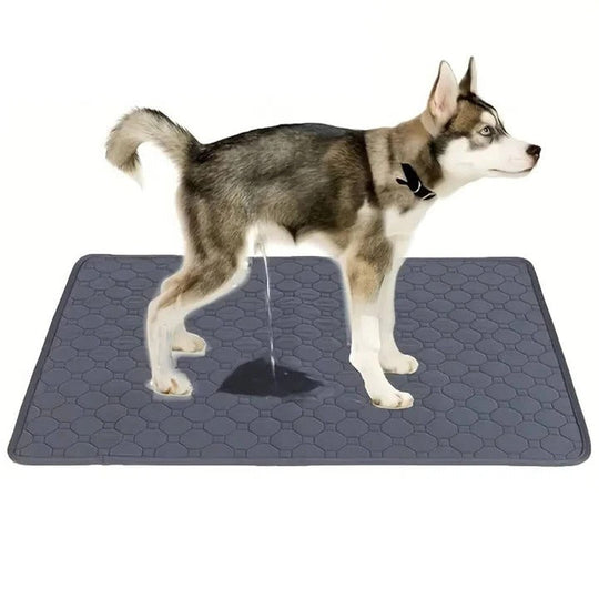 Dog Pee Pad with Reusable Layers and TPU Base
