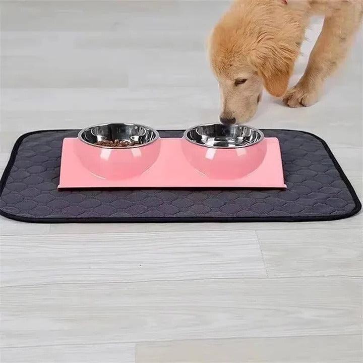 Dog Pee Pad with Reusable Layers and TPU Base