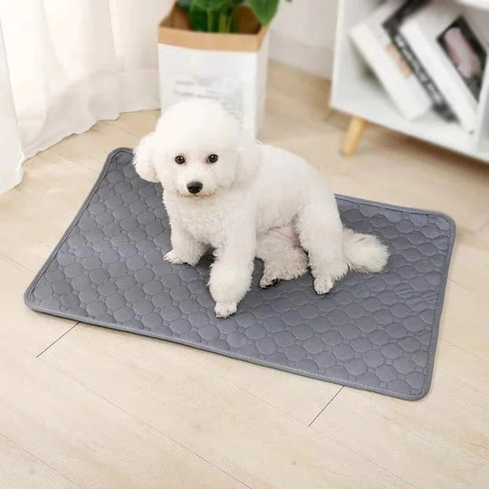 Dog Pee Pad with Reusable Layers and TPU Base