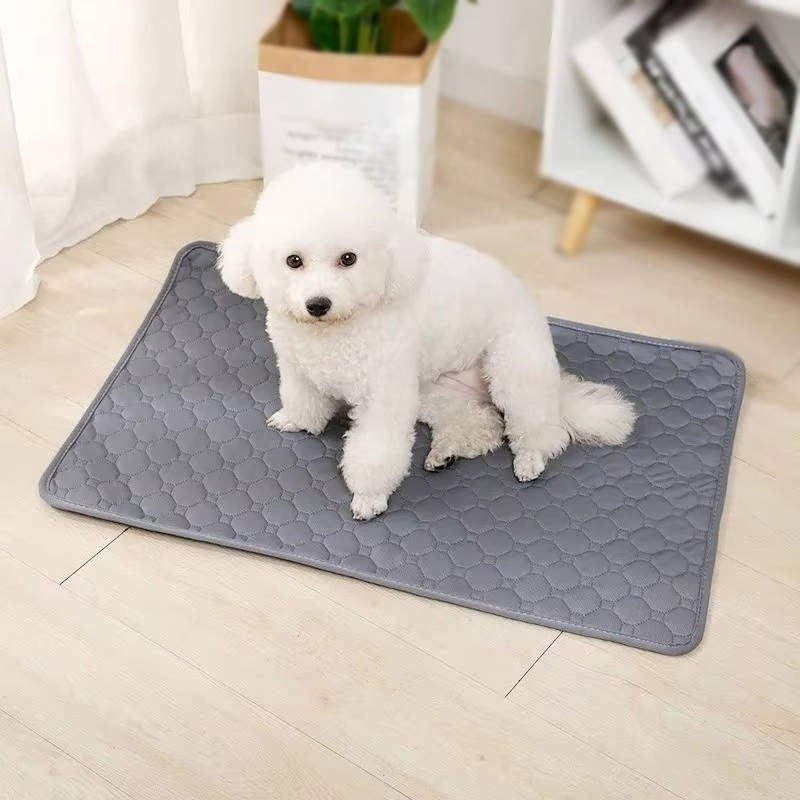 Dog Pee Pads with Disposable and Reusable Options