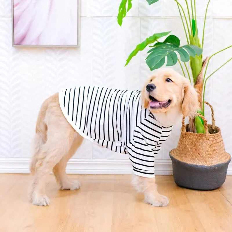 Dog T-Shirt with Cotton Fabric and Lightweight Design