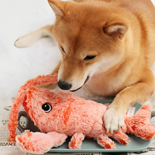 Dog Toy with Interactive Floppy Design and Fun Texture