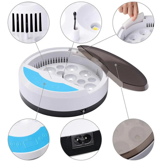 Egg Incubator with LED Display and Temperature Control