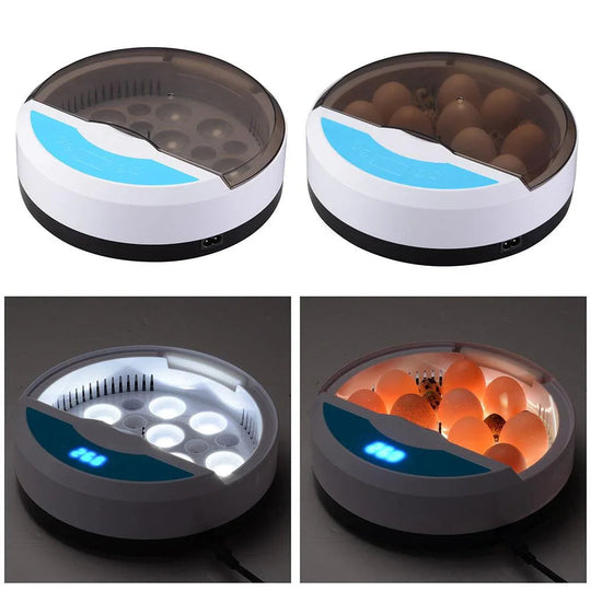 Egg Incubator with LED Display and Temperature Control