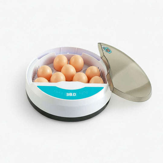 Egg Incubator with LED Display and Temperature Control