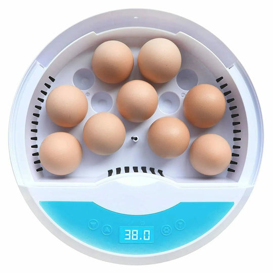 Egg Incubator with LED Display and Temperature Control