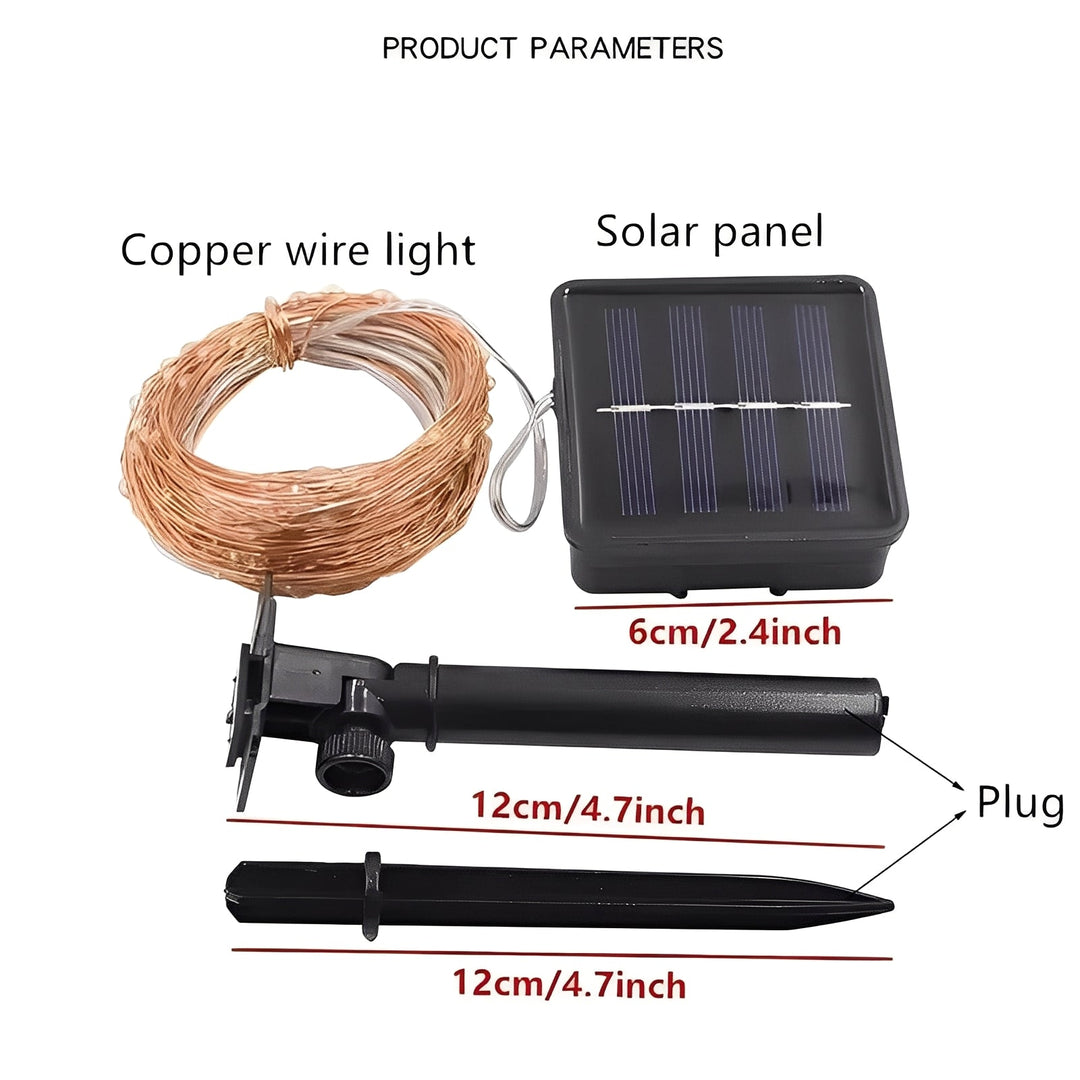 Garden Lights with Solar Power and LED Bulbs