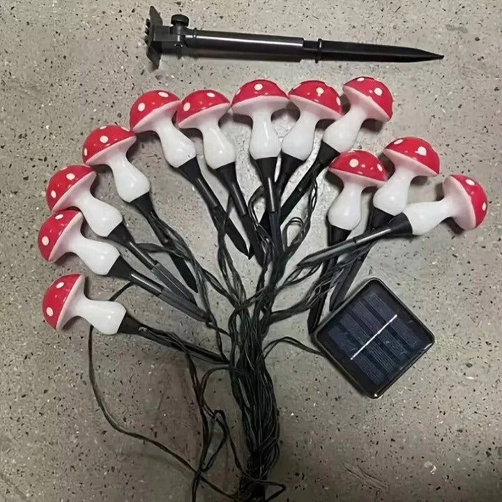 Garden Lights with Solar Power and LED Design
