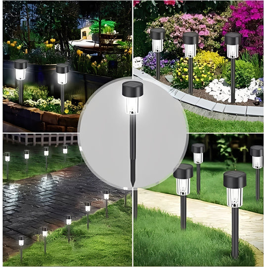 Garden Lights with Solar Power and LED Design
