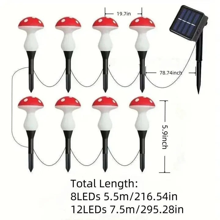 Garden Lights with Solar Power and LED Design