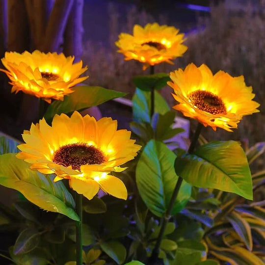 Garden Stake Lights with Solar Power and LED Design