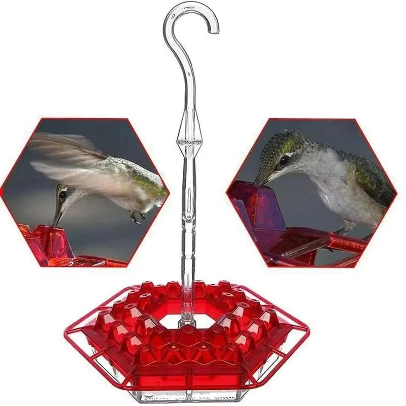 Hummingbird Feeder with Ant Guard and Hanging Perch