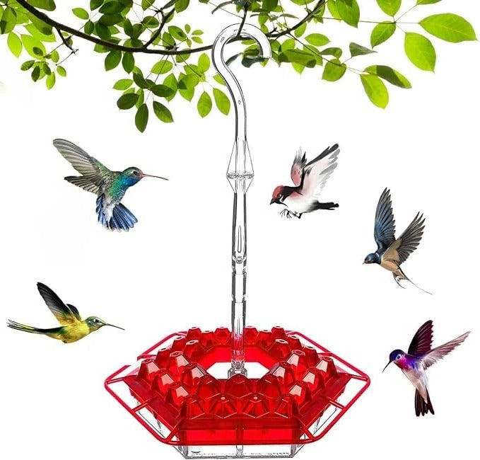 Hummingbird Feeder with Ant Guard and Hanging Perch