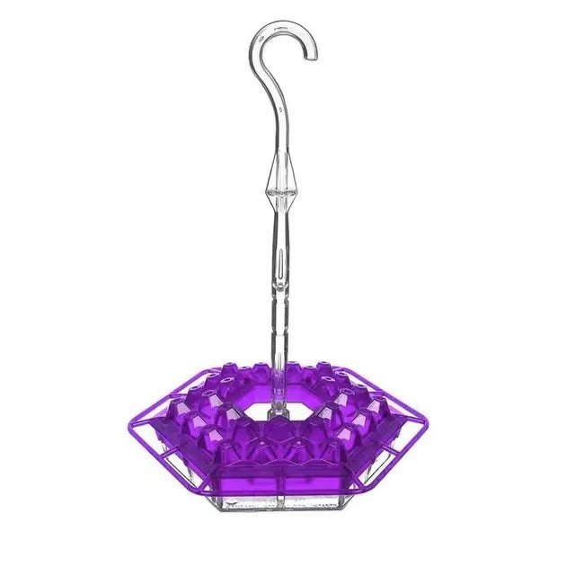 Hummingbird Feeder with Ant Guard and Hanging Perch