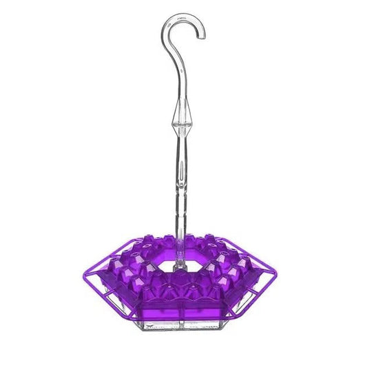 Hummingbird Feeder with Ant Guard and Hanging Perch