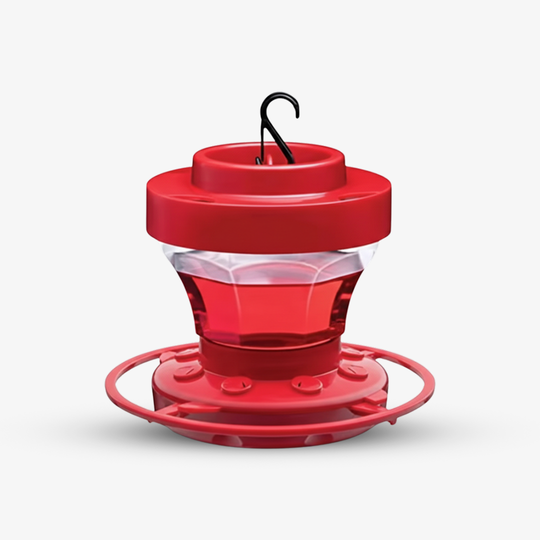 Hummingbird Feeder with Bee Resistance and Hanging Perch
