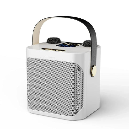 Karaoke Speaker with Bluetooth Connectivity and 360° Sound