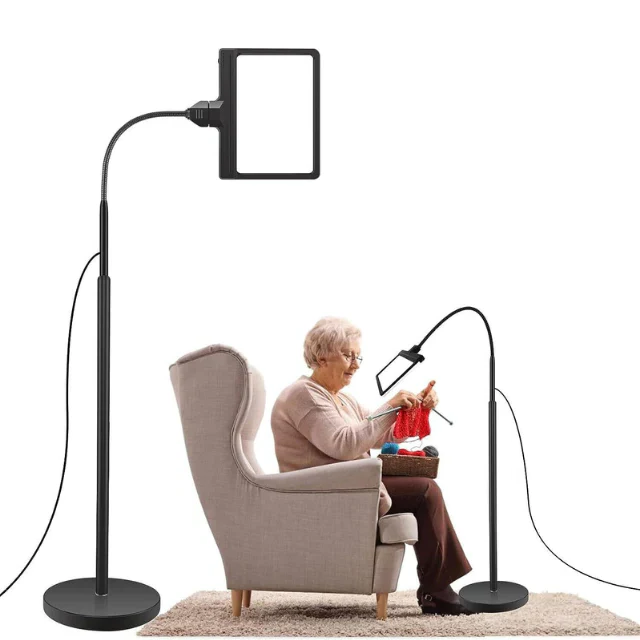 Magnifying Lamp with LED Light and Page Lens