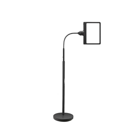 Magnifying Lamp with LED Light and Page Lens