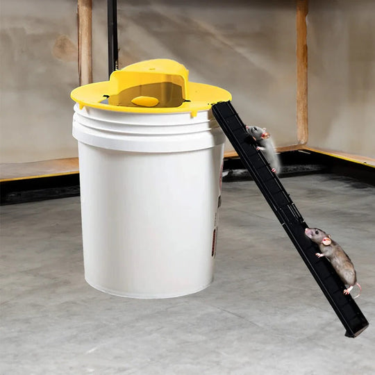 Mouse Trap with Reusable Design and Humane Capture