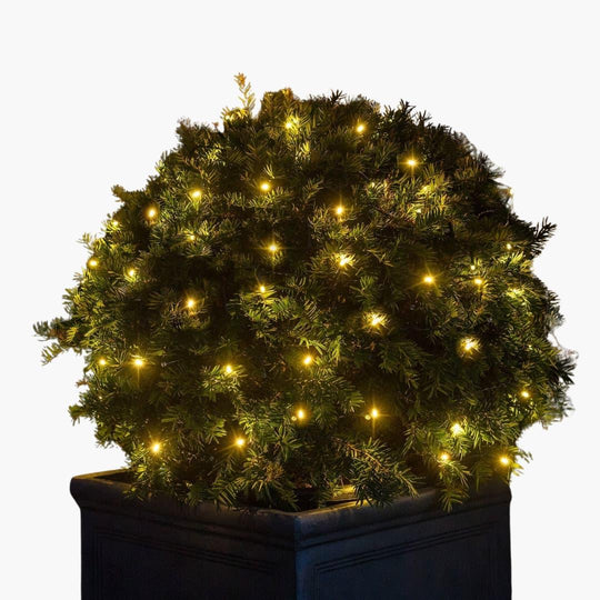 Outdoor Lights with LED Bulbs and String Design
