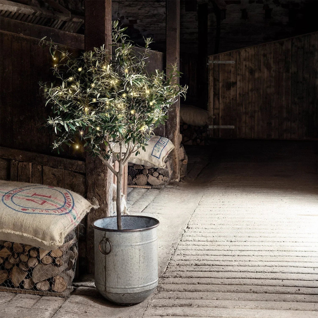 Outdoor Lights with LED Bulbs and String Design