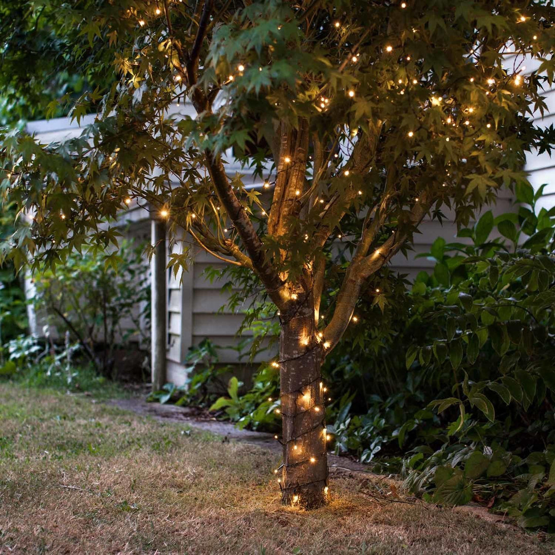 Outdoor Lights with LED Bulbs and String Design