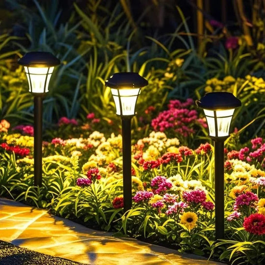 Outdoor Solar Lights with LED Illumination and Garden Pathway Design
