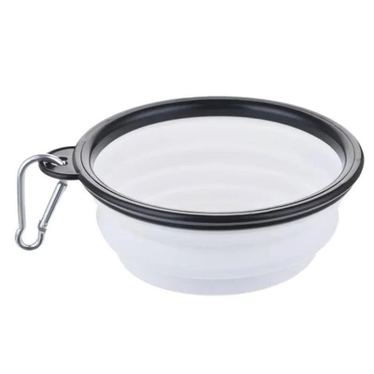 Pet Bowl with Portable Design and Collapsible Silicone