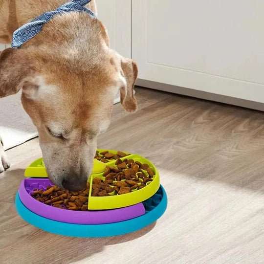 Pet Bowl with Slow Feeding and Puzzle Design