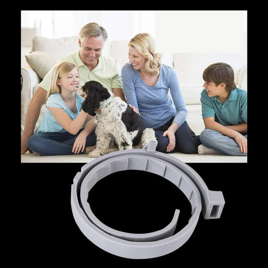 Pet Collar with Adjustable Fit and Pest Protection