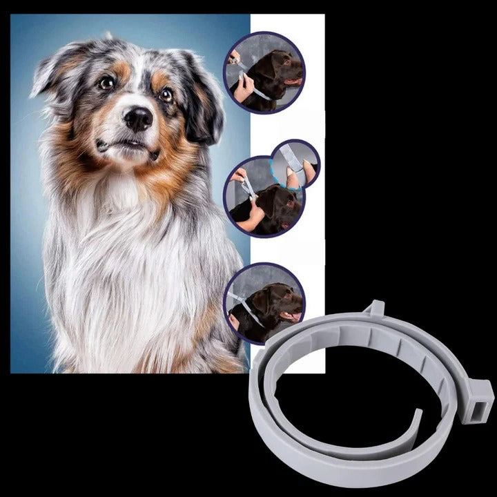 Pet Collar with Adjustable Fit and Pest Protection
