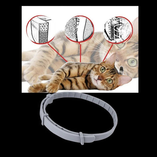 Pet Collar with Adjustable Fit and Pest Protection