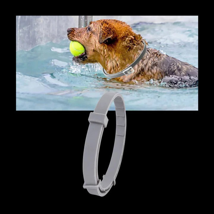 Pet Collar with Adjustable Fit and Pest Protection
