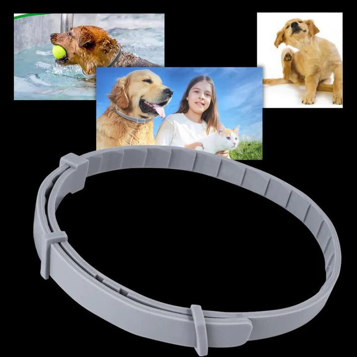 Pet Collar with Adjustable Fit and Pest Protection