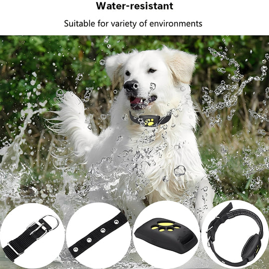 Pet GPS Collar with App Tracking and Adjustable Strap
