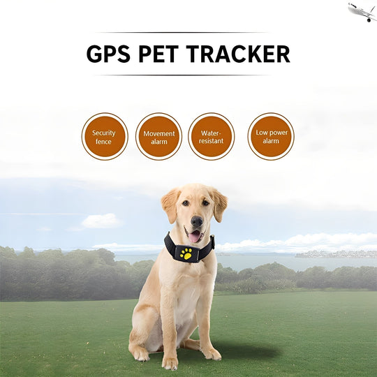 Pet GPS Collar with App Tracking and Adjustable Strap