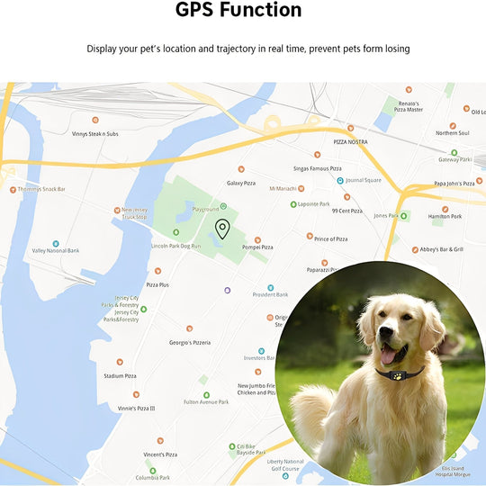 Pet GPS Collar with App Tracking and Adjustable Strap