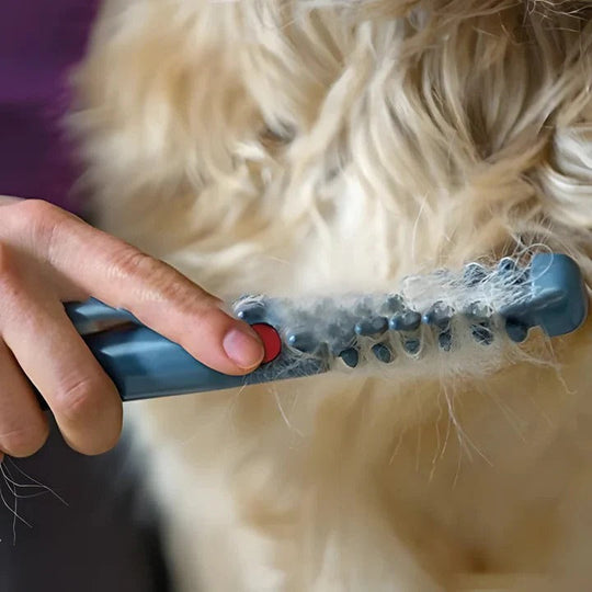 Pet Grooming Rake with Anti-Tangle Design and Long Hair Comb