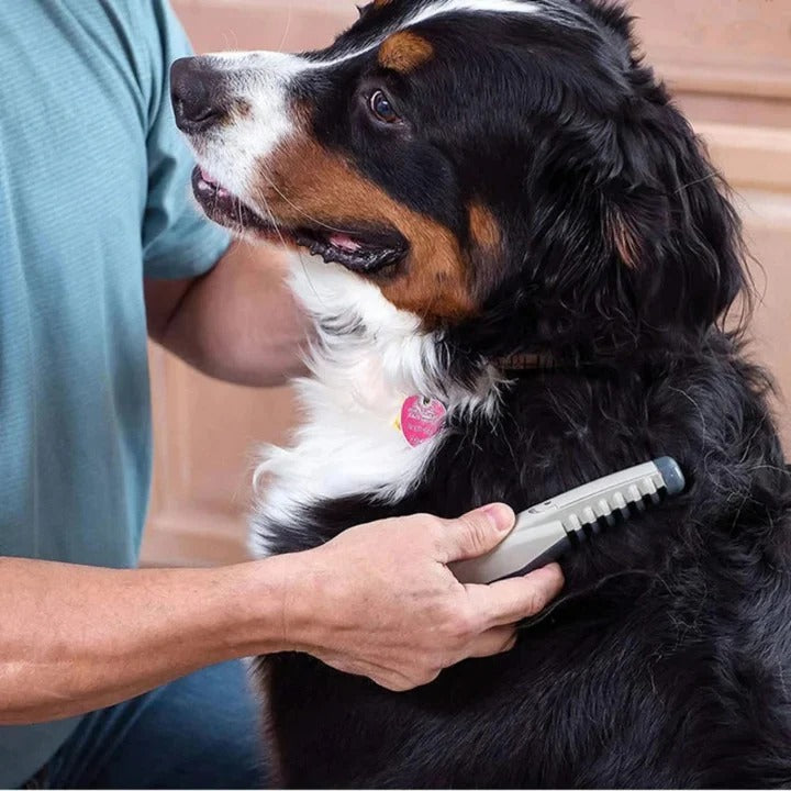 Pet Grooming Rake with Anti-Tangle Design and Long Hair Comb