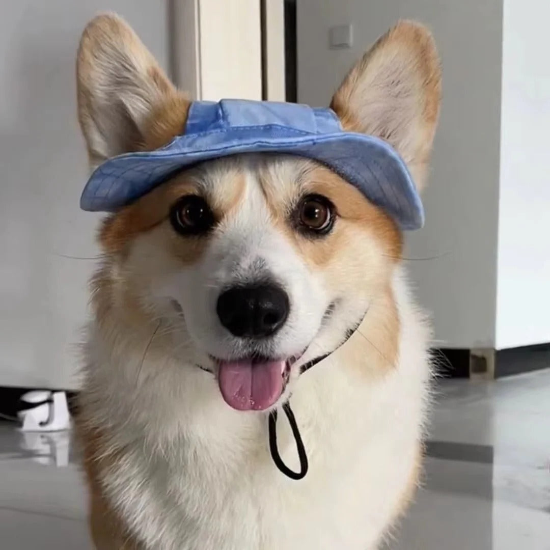 Pet Hat with UV Protection and Adjustable Strap