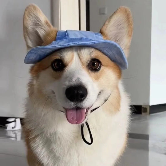 Pet Hat with UV Protection and Adjustable Strap