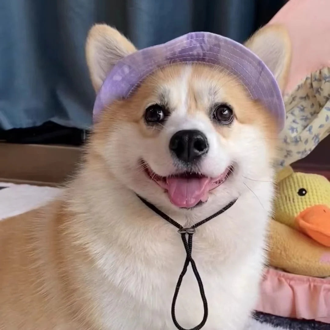 Pet Hat with UV Protection and Adjustable Strap