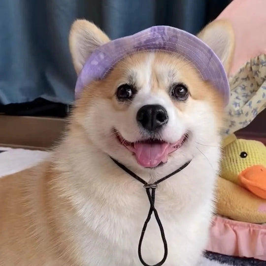 Pet Hat with UV Protection and Adjustable Strap
