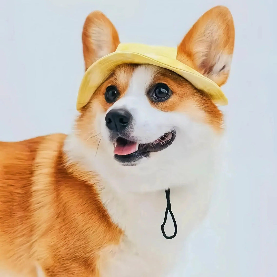 Pet Hat with UV Protection and Adjustable Strap